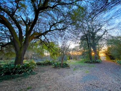 9.8 ACRES in LUMBERTON TX FOR AUCTION - image 2