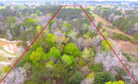 9.8 ACRES in LUMBERTON TX FOR AUCTION - image 23