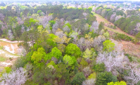 9.8 ACRES in LUMBERTON TX FOR AUCTION - image 10