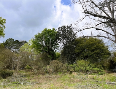 9.8 ACRES in LUMBERTON TX FOR AUCTION - image 18