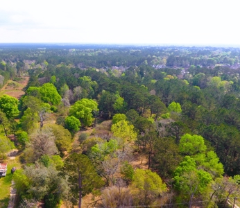 9.8 ACRES in LUMBERTON TX FOR AUCTION - image 11