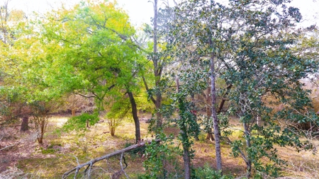 9.8 ACRES in LUMBERTON TX FOR AUCTION - image 9