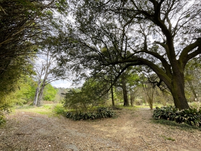 9.8 ACRES in LUMBERTON TX FOR AUCTION - image 15