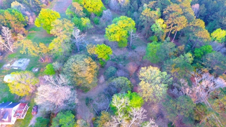 9.8 ACRES in LUMBERTON TX FOR AUCTION - image 20