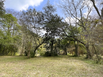 9.8 ACRES in LUMBERTON TX FOR AUCTION - image 16
