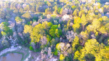 9.8 ACRES in LUMBERTON TX FOR AUCTION - image 22