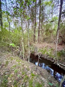 9.8 ACRES in LUMBERTON TX FOR AUCTION - image 6
