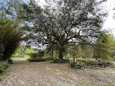 9.8 ACRES in LUMBERTON TX FOR AUCTION - image 13