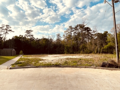 Lot 10 in The Reserve in Lumberton Texas - image 6