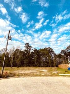 Large Lot for Auction in Lumberton Texas - image 6