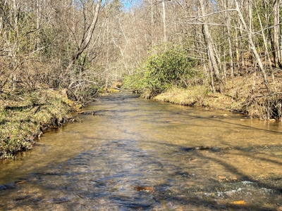 Recreational Land with Creeks for Sale in Woolwine VA! - image 10