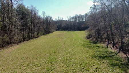 Recreational Land with Creeks for Sale in Woolwine VA! - image 34