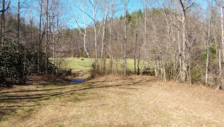 Recreational Land with Creeks for Sale in Woolwine VA! - image 43