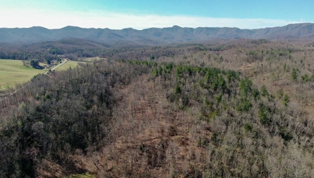 Recreational Land with Creeks for Sale in Woolwine VA! - image 47