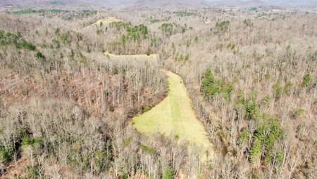 Recreational Land with Creeks for Sale in Woolwine VA! - image 40