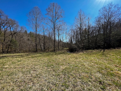 Recreational Land with Creeks for Sale in Woolwine VA! - image 27