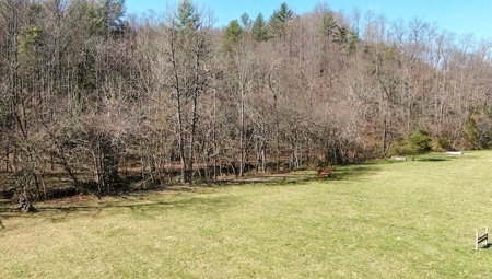 Recreational Land with Creeks for Sale in Woolwine VA! - image 45