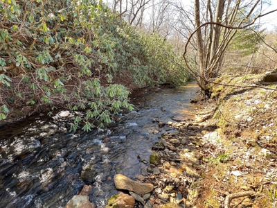 Recreational Land with Creeks for Sale in Woolwine VA! - image 15