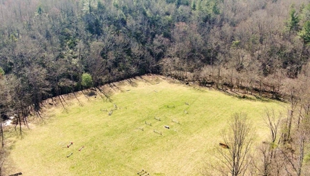 Recreational Land with Creeks for Sale in Woolwine VA! - image 42