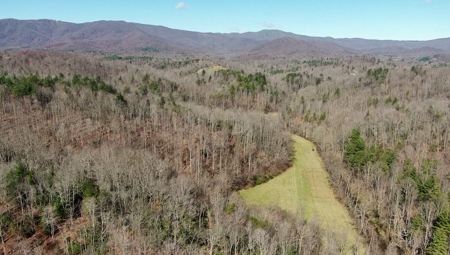 Recreational Land with Creeks for Sale in Woolwine VA! - image 33