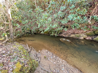 Recreational Land with Creeks for Sale in Woolwine VA! - image 16