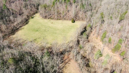 Recreational Land with Creeks for Sale in Woolwine VA! - image 39