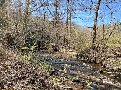 Recreational Land with Creeks for Sale in Woolwine VA! - image 5