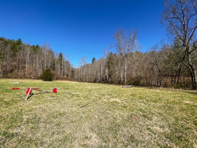 Recreational Land with Creeks for Sale in Woolwine VA! - image 25