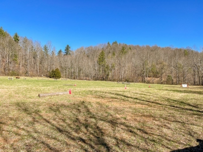 Recreational Land with Creeks for Sale in Woolwine VA! - image 20