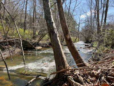 Recreational Land with Creeks for Sale in Woolwine VA! - image 21