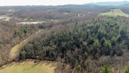 Recreational Land with Creeks for Sale in Woolwine VA! - image 32