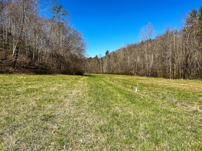 Recreational Land with Creeks for Sale in Woolwine VA! - image 31