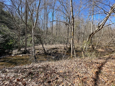 Recreational Land with Creeks for Sale in Woolwine VA! - image 30
