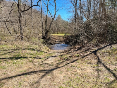 Recreational Land with Creeks for Sale in Woolwine VA! - image 12