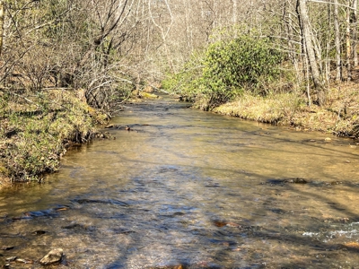 Recreational Land with Creeks for Sale in Woolwine VA! - image 8