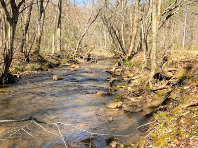 Recreational Land with Creeks for Sale in Woolwine VA! - image 18