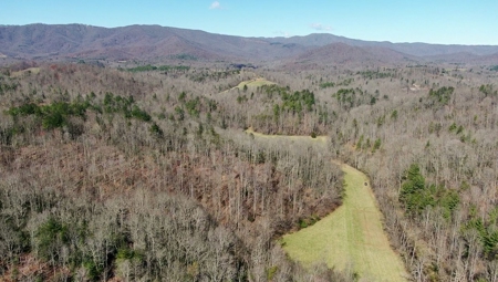 Recreational Land with Creeks for Sale in Woolwine VA! - image 1