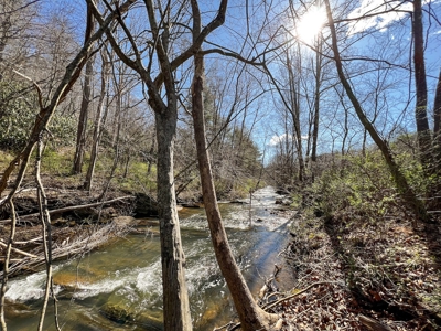 Recreational Land with Creeks for Sale in Woolwine VA! - image 23