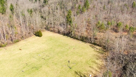 Recreational Land with Creeks for Sale in Woolwine VA! - image 46