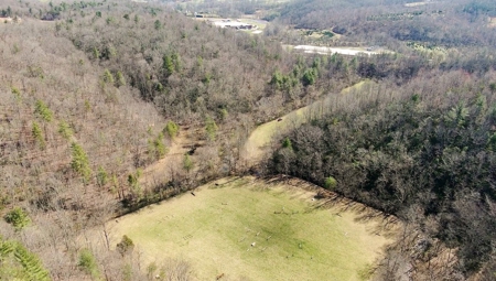 Recreational Land with Creeks for Sale in Woolwine VA! - image 48