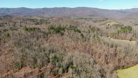 Recreational Land with Creeks for Sale in Woolwine VA! - image 37