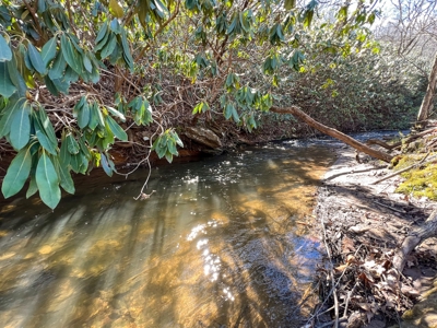 Recreational Land with Creeks for Sale in Woolwine VA! - image 14