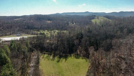Recreational Land with Creeks for Sale in Woolwine VA! - image 35