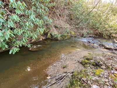 Recreational Land with Creeks for Sale in Woolwine VA! - image 17