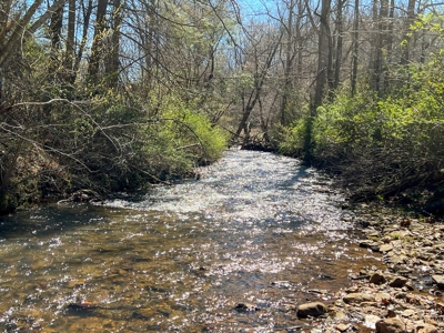 Recreational Land with Creeks for Sale in Woolwine VA! - image 11