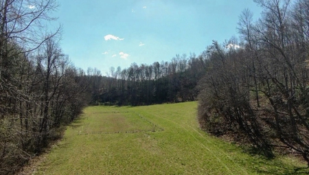 Recreational Land with Creeks for Sale in Woolwine VA! - image 36