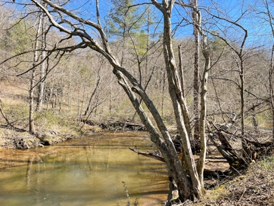 Recreational Land with Creeks for Sale in Woolwine VA! - image 6