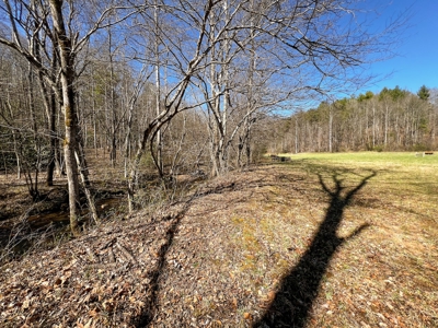 Recreational Land with Creeks for Sale in Woolwine VA! - image 29
