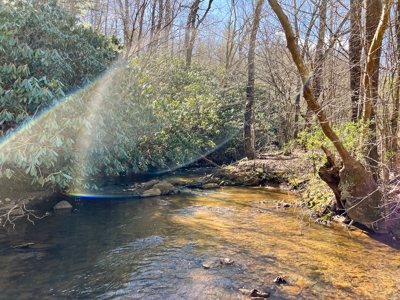 Recreational Land with Creeks for Sale in Woolwine VA! - image 7