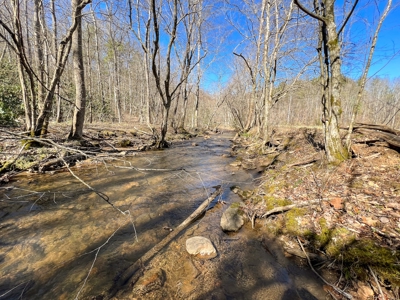 Recreational Land with Creeks for Sale in Woolwine VA! - image 19